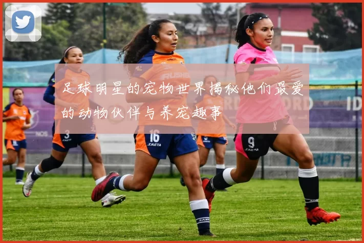 足球明星的宠物世界揭秘他们最爱的动物伙伴与养宠趣事